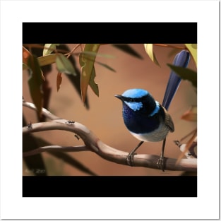 Fairy Wren Posters and Art